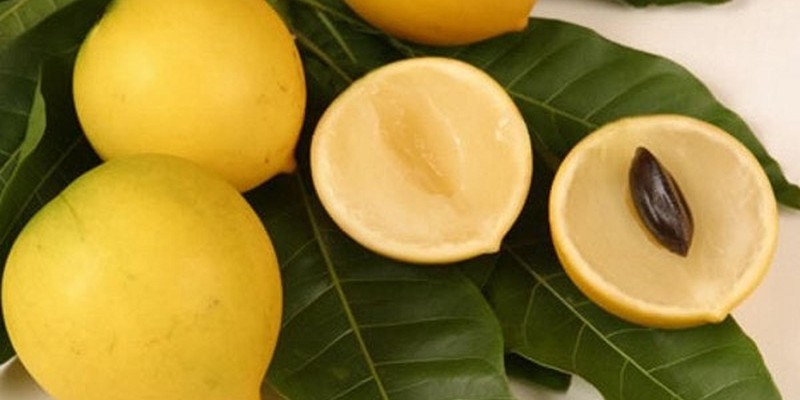 fornecedores/2019/06/abiu-amarelo.jpg