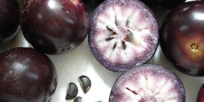 fornecedores/2019/06/abiu-roxo.jpg
