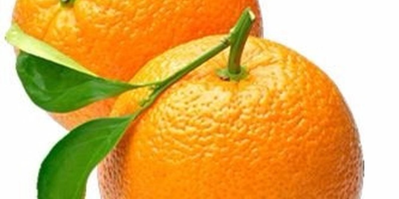 fornecedores/2019/06/laranja-barao.jpg