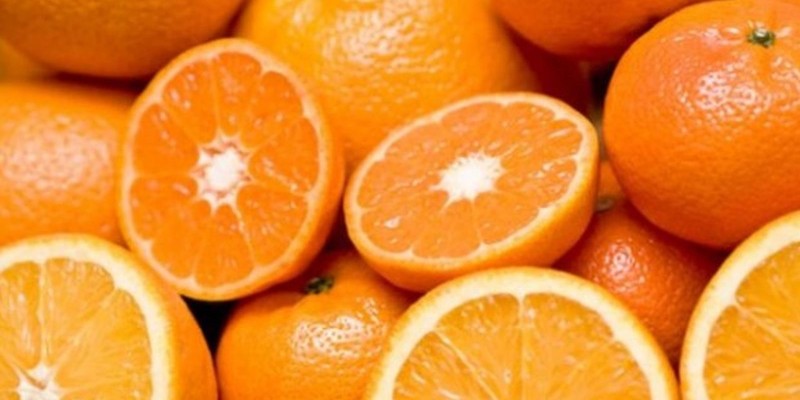 fornecedores/2019/06/laranja-caipira.jpg
