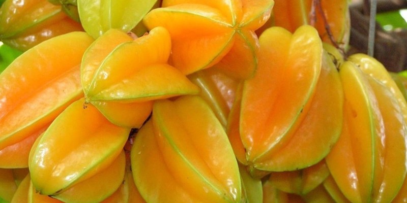 fornecedores/2019/07/carambola-633.jpg