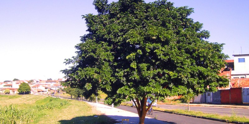 fornecedores/2019/08/716.jpg