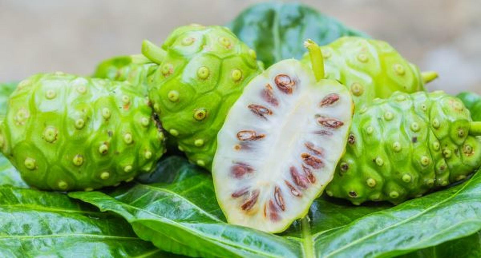 Noni 