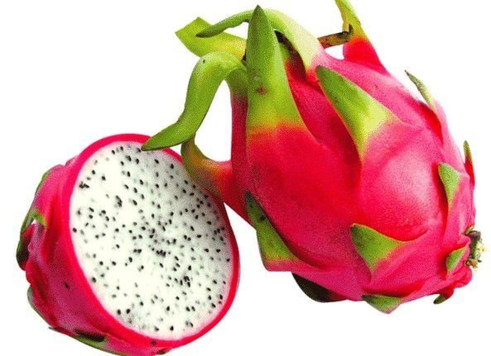 Pitaya Vermelha 