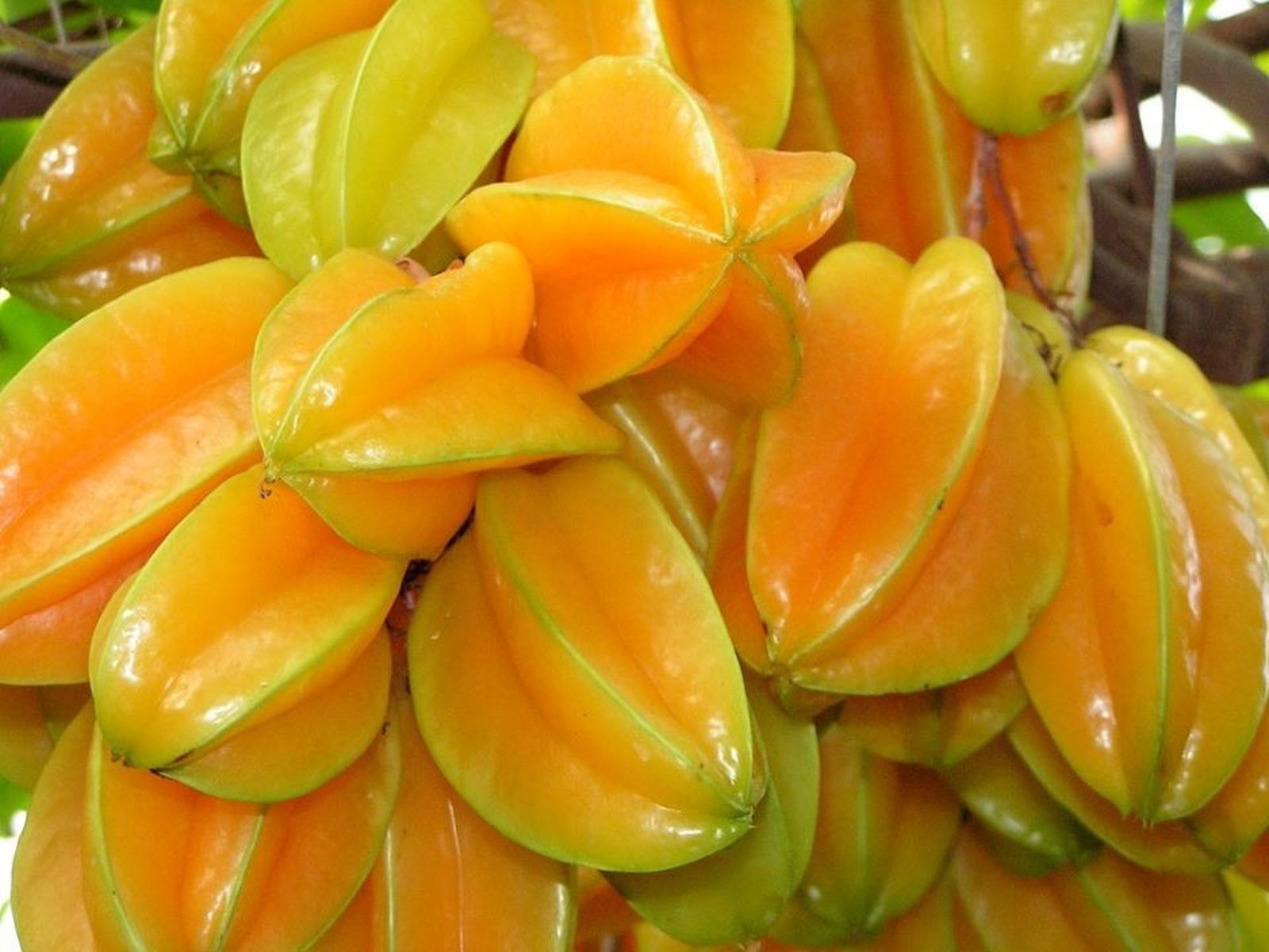 Carambola 