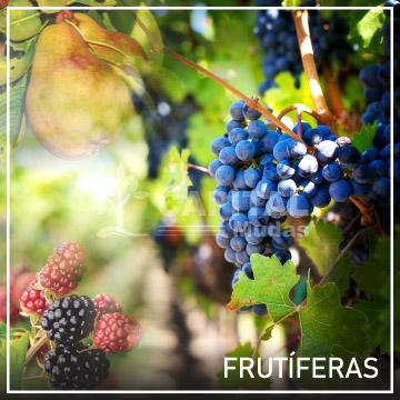 Frutíferas