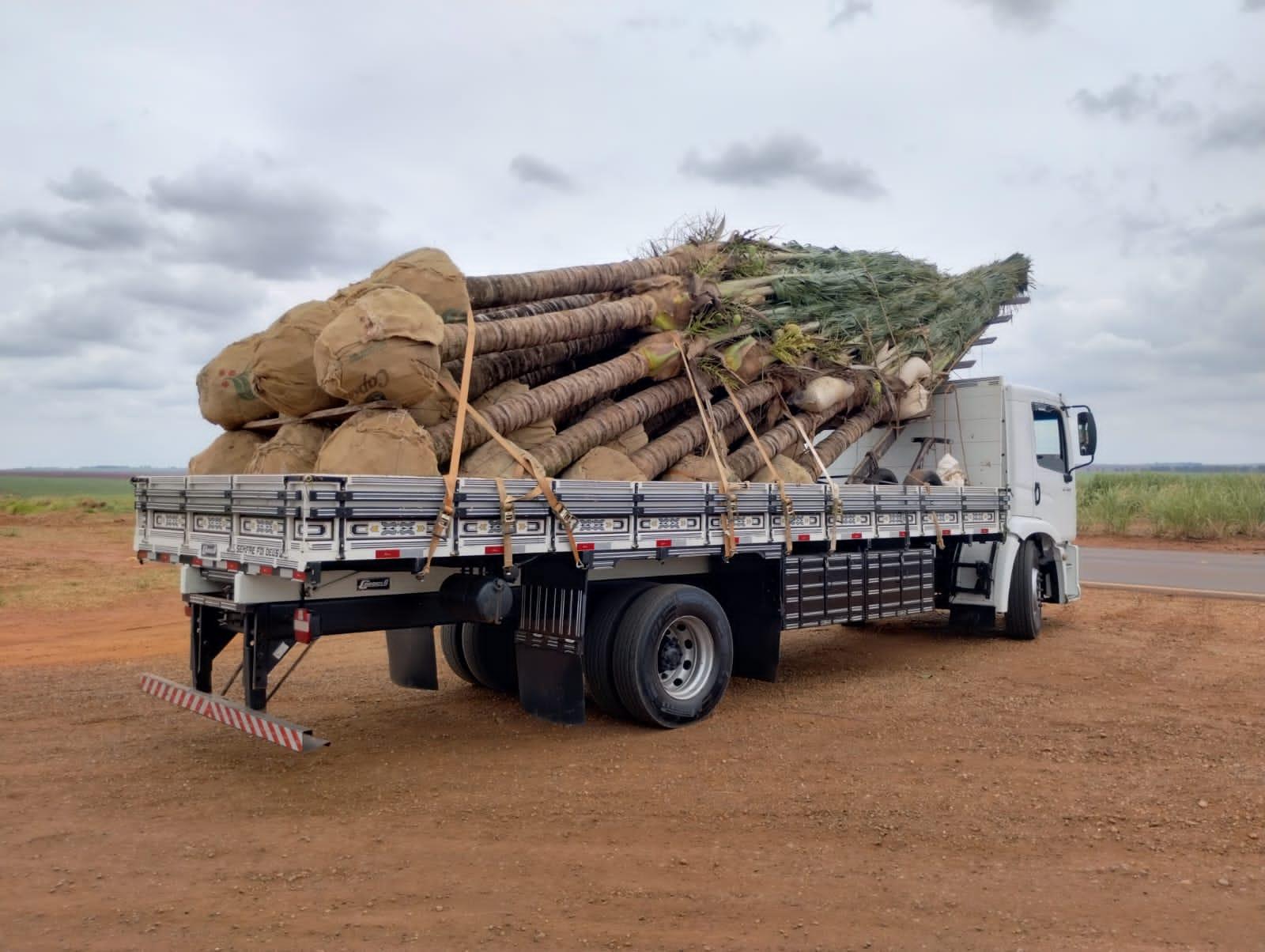 <div class='trigger trigger_error'><b>Erro na Linha: #41 ::</b> Undefined index: category_title<br><small>/home/capitalmudas/public_html/themes/capital/servicos.php</small><span class='ajax_close'></span></div>