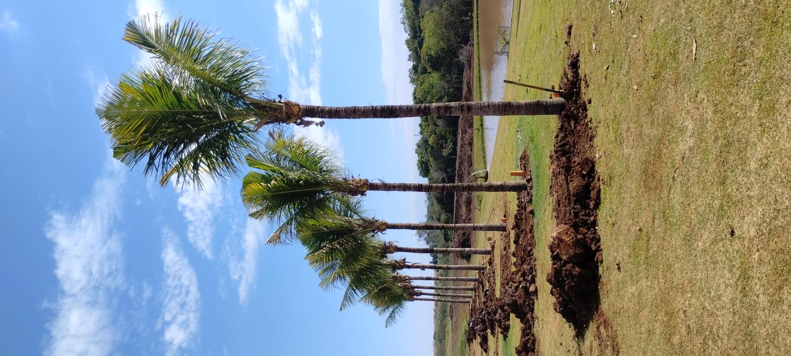 <div class='trigger trigger_error'><b>Erro na Linha: #41 ::</b> Undefined index: category_title<br><small>/home/capitalmudas/public_html/themes/capital/servicos.php</small><span class='ajax_close'></span></div>