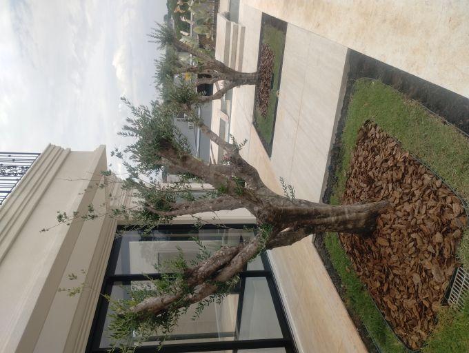 <div class='trigger trigger_error'><b>Erro na Linha: #41 ::</b> Undefined index: category_title<br><small>/home/capitalmudas/public_html/themes/capital/servicos.php</small><span class='ajax_close'></span></div>