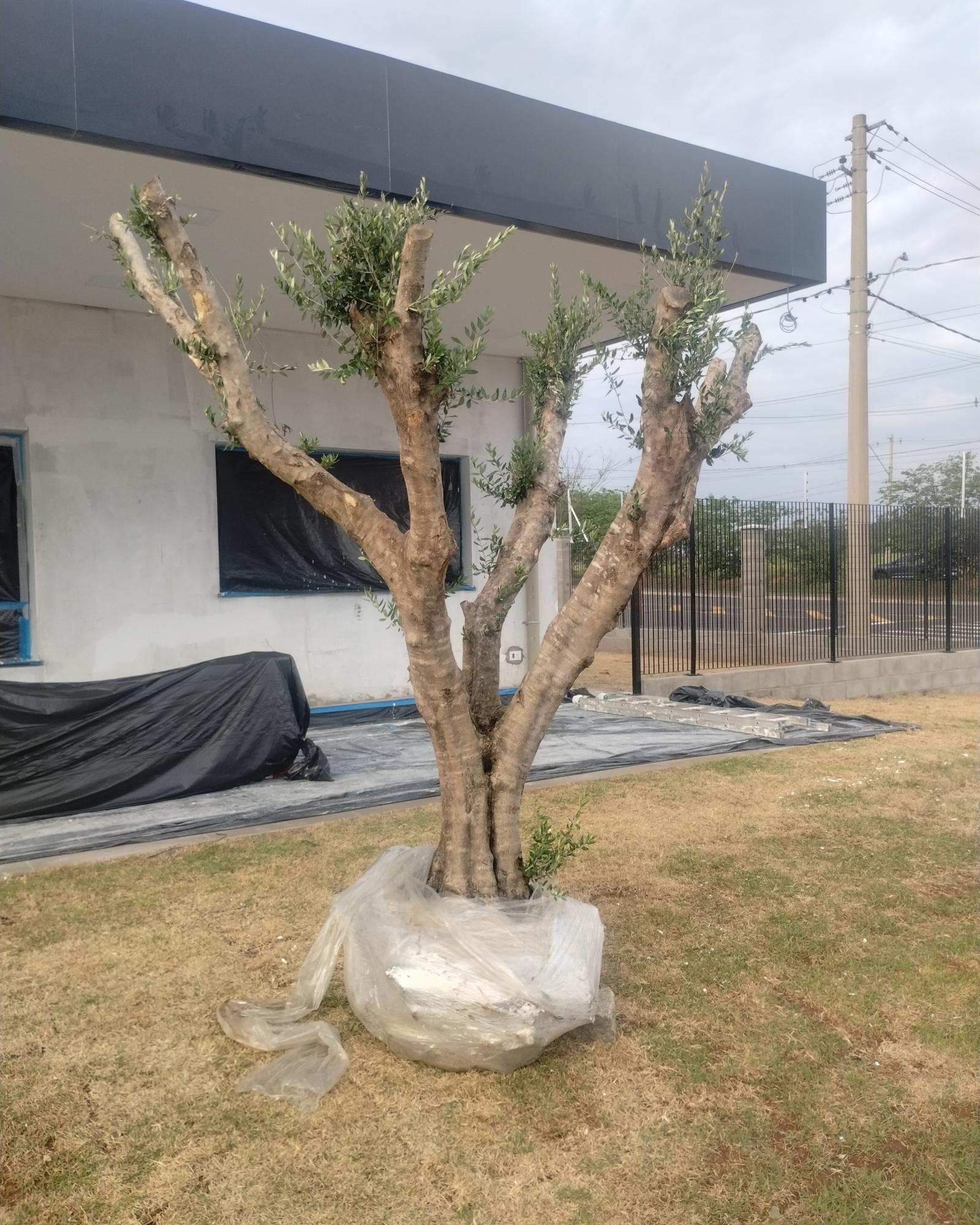 <div class='trigger trigger_error'><b>Erro na Linha: #41 ::</b> Undefined index: category_title<br><small>/home/capitalmudas/public_html/themes/capital/servicos.php</small><span class='ajax_close'></span></div>